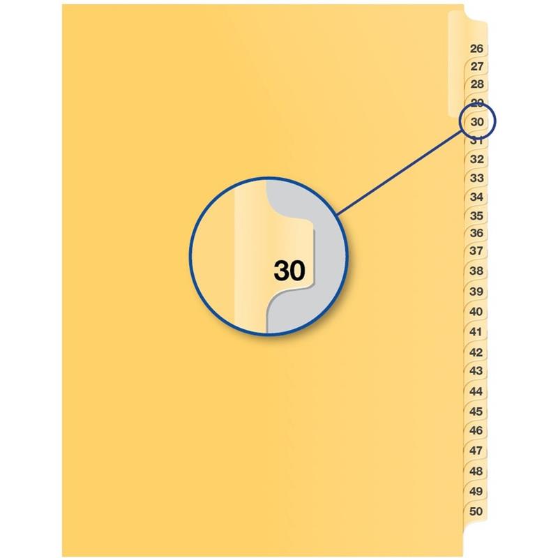 Image Individual Numerical Litigation Index Dividers