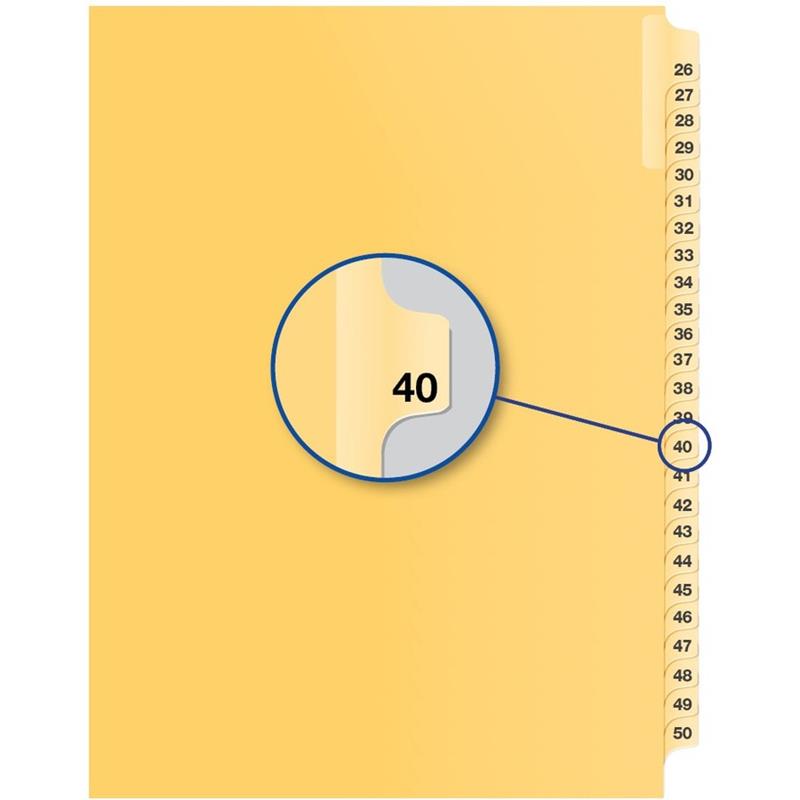 Image Individual Numerical Litigation Index Dividers
