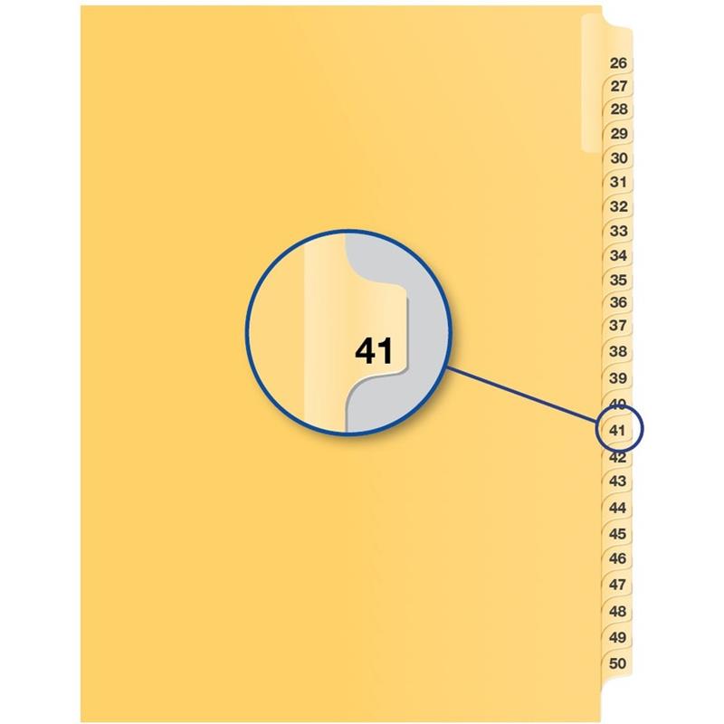 Image Individual Numerical Litigation Index Dividers