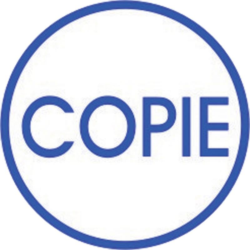 Image Timbre petit format auto-encreur S-Printy 4921