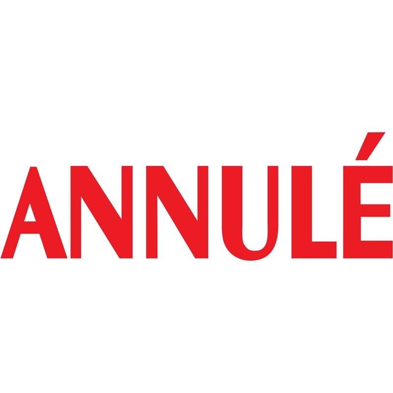 Image Timbre grand format auto-encreur Original Printy 4.0 4911